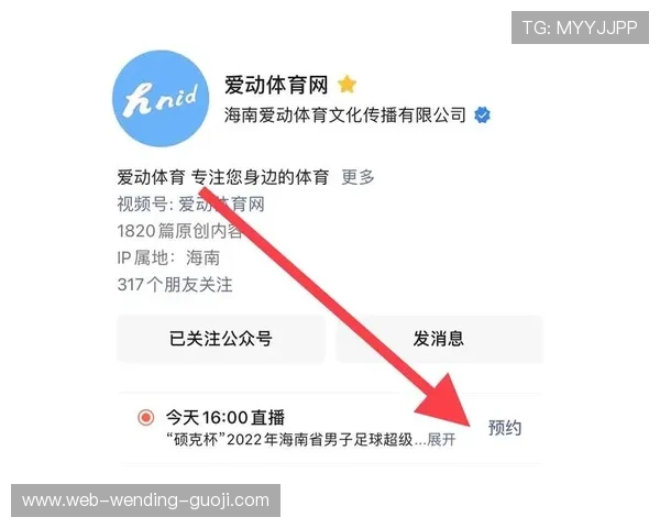 全球热门足球赛事实时观看平台全攻略与选择指南